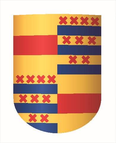 Nyenrode 7s